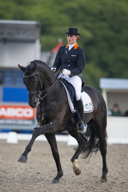 Конный спорт выездка