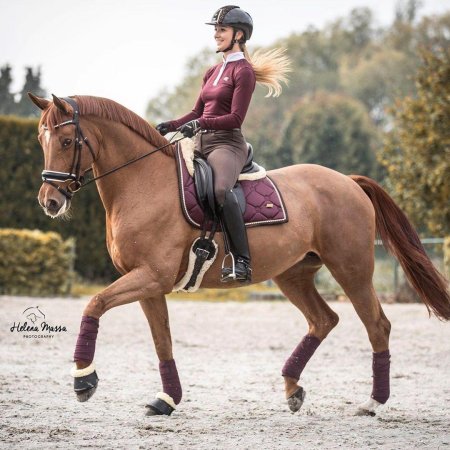 Equito вальтрап