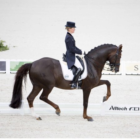 Редингот для выездки