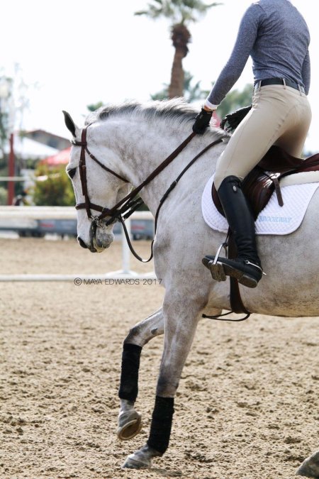 Выездка конный спорт эстетика