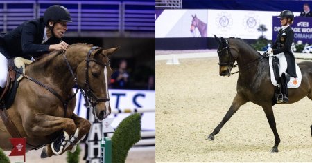 Конный спорт выездка