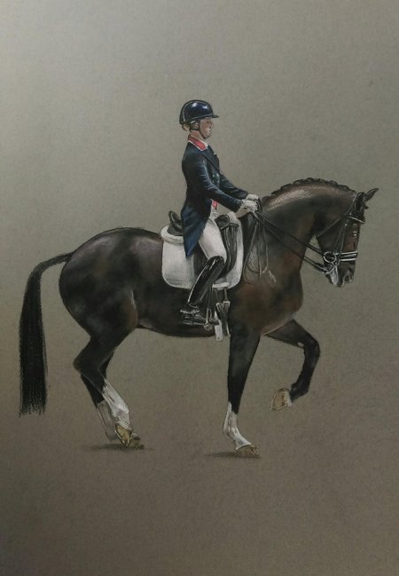 Выездка лошадей