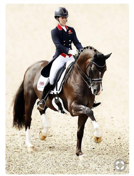 Шарлотта дюжарден выездка