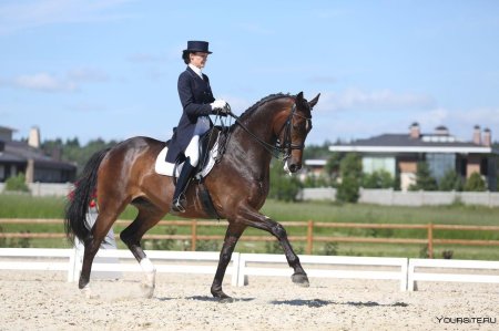 Лариса бушина выездка