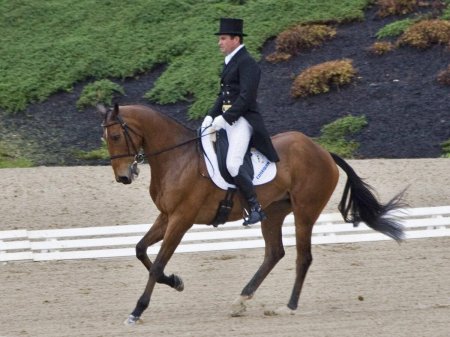 Конный спорт выездка