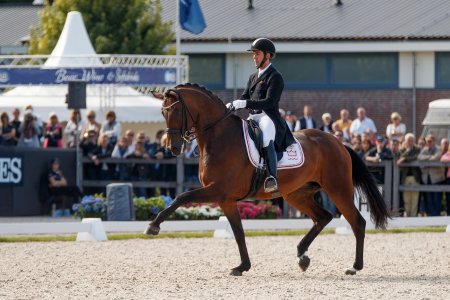 Выездка чемпионат мира