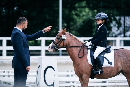 Соревнования по выездке