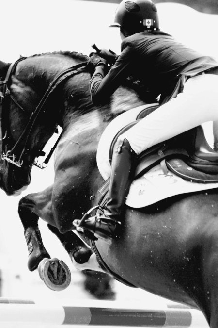 Эстетика конного спорта конкур