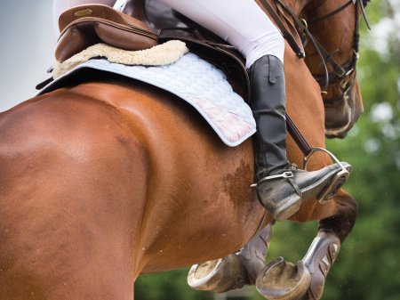 Верховая езда