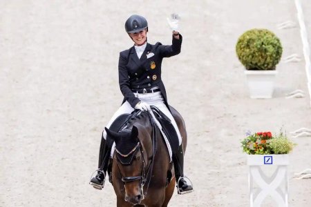 Выездка конный спорт