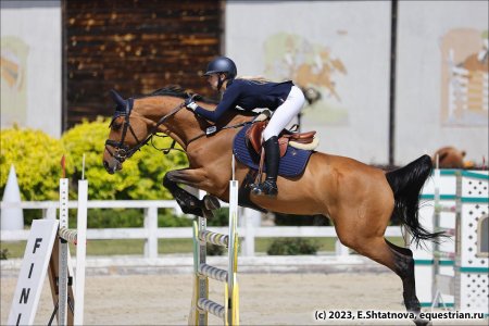 Лошади. конкур. конный спорт.