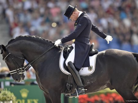 Эдвард гал и тотилас