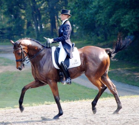 Изабель верт выездка