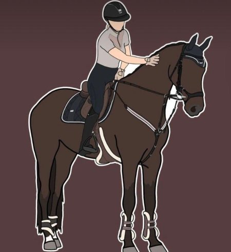 Выездка лошадей