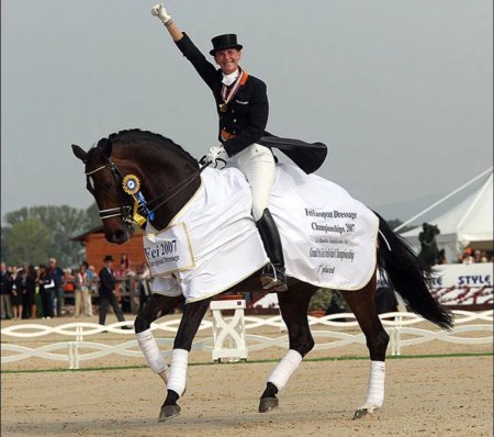 «выездка в довилле» рауль