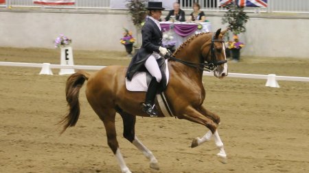 Шарлотта дюжарден выездка