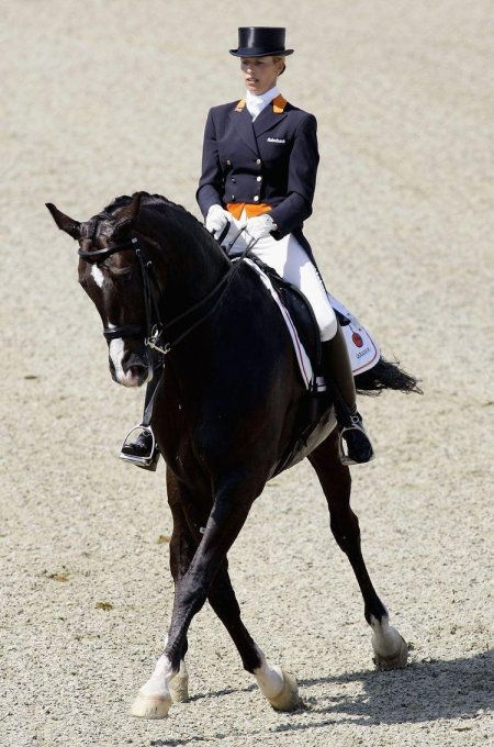 Выездка конный спорт