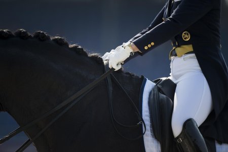 Конный спорт выездка