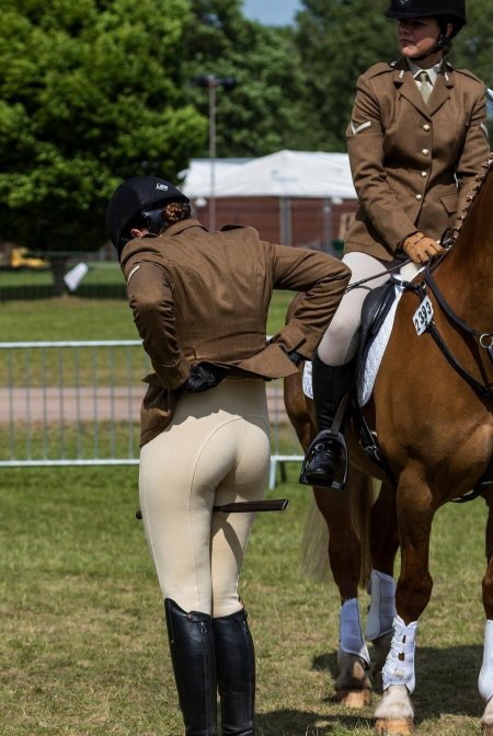 Выездка лошадей