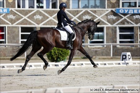 Татьяна костерина конный спорт выездка