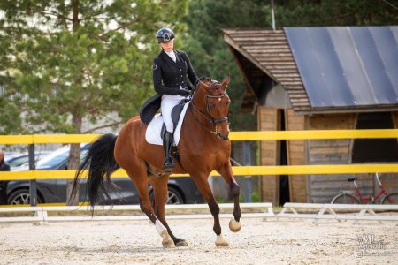 Мария учаева выездка