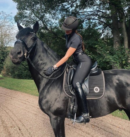 Equestrian horse riding