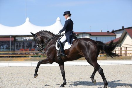 Наталья мартьянова выездка