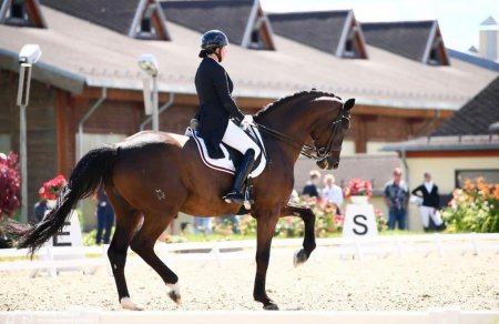 Инесса меркулова конный спорт