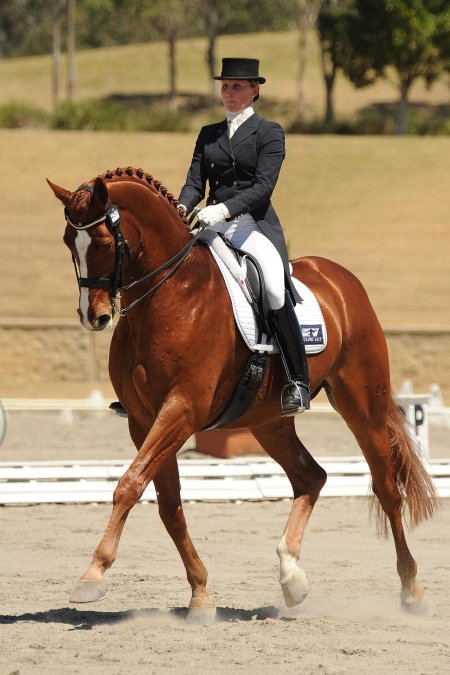 Анна иванова выездка конный спорт