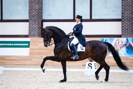 Выездка конный спорт эстетика