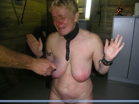 Фотографии