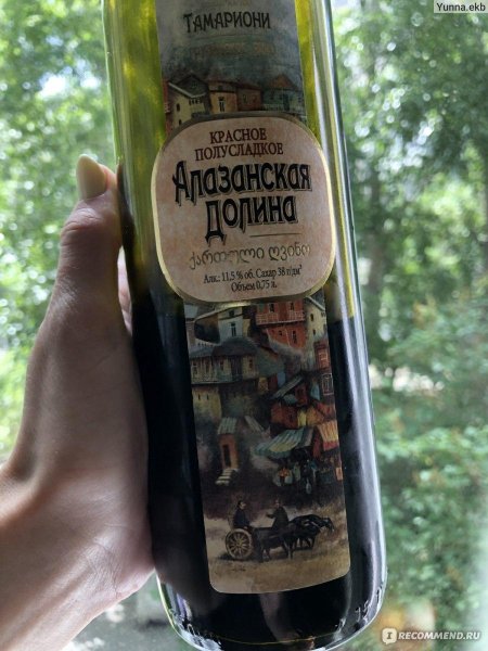 Алазанская долина вино красное бристоль