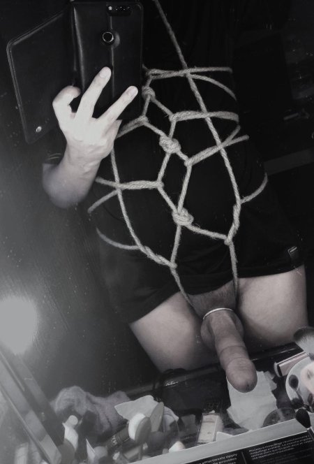 Шибари члена