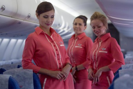 Ред вингс бортпроводники