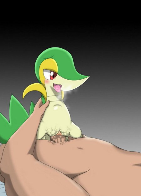 Покемон снайви