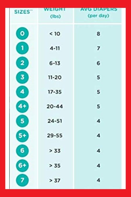 Триместра беременности