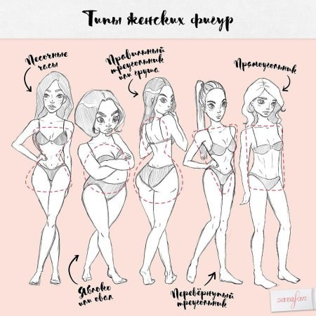 Тип фигур у девушек