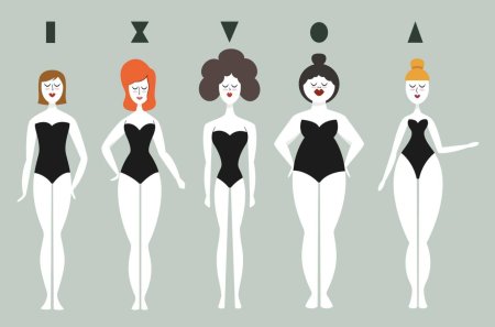 Фигуры женщин типы