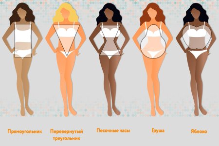 Тип фигур у девушек