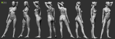 Голая женщина референс