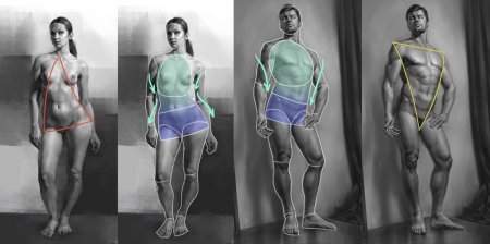 Рисуем фигуру человека