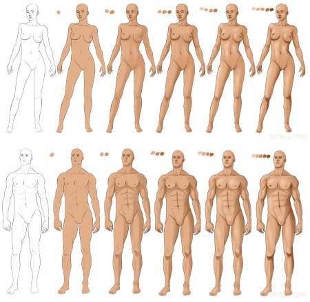 Голое тело референс