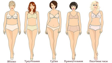 Тип фигур у женщин