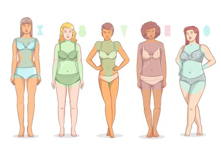 Тип фигуры женщины