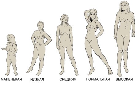 Женская фигура типы