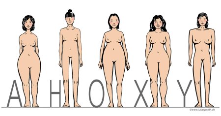 Женская фигура типы