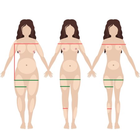 Виды фигур у женщин