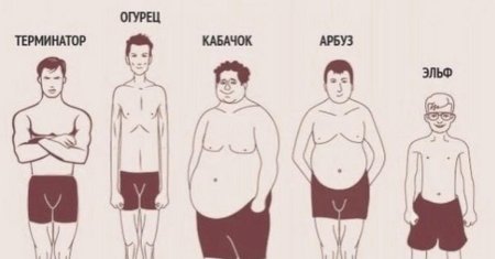 Тип фигур у мужчин
