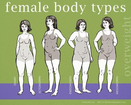 Тип фигуры женщин