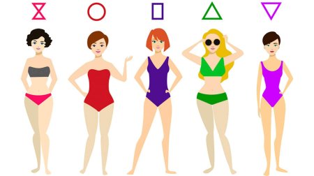 Тип фигур у женщин